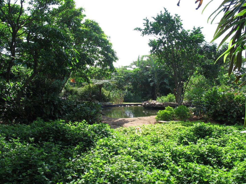 Comfort House Bed & Breakfast Ballito Exteriör bild
